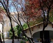Chateau de Gaujac